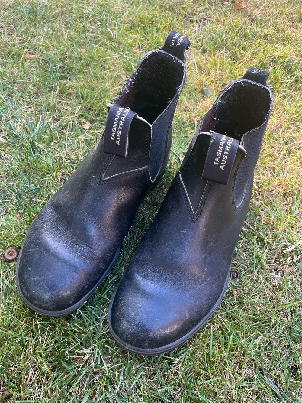 Blundstone Original Chelsea Boots – Women’s US size 8